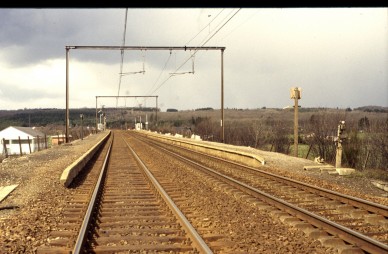 Hogne - TH 83-2664.jpg